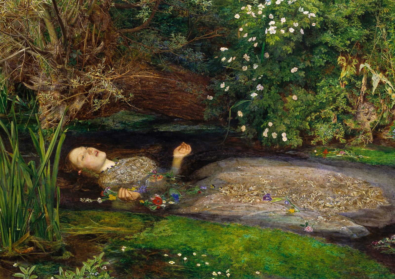 Ophelia by John Everett Millais, 1851 to 1852. Ophelia floats on her back in a stream, singing, her dress spread on the water among wild flowers and reeds.